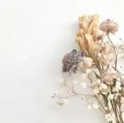 Ruruの画像