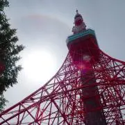 ゆずっこの画像