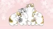 はるねこの画像