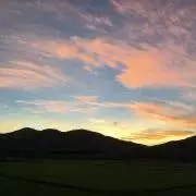 mikoの画像