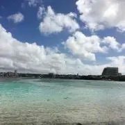 Lii