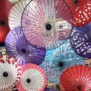 かず　[まとめ買いで値引可能］の画像