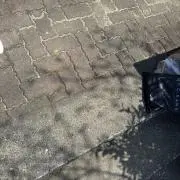 けんた