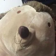 はりを
