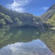ライオット（プロフみてください！）の画像