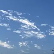 CHANSORの画像