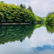 ARIの画像