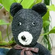 きょこ。の画像