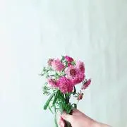 ぷりんの画像