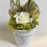 すみれの画像