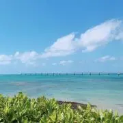 ぽよよよんの画像