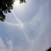 びーんず