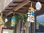 りんりんの画像