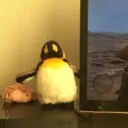 こまの画像