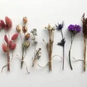 kの画像