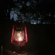 youの画像