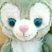 さっちゃんの画像