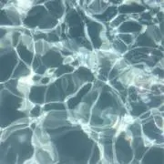 hii【最短即日発送可能※要相談】の画像