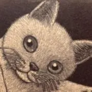 ねこやまねここ