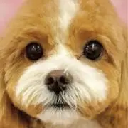 Natsumiの画像