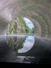 丈太郎の画像