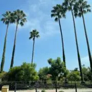 ♡ニコ♡自己紹介欄必読の画像