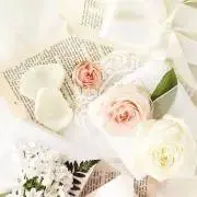 piyo