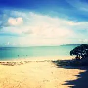 @summerの画像