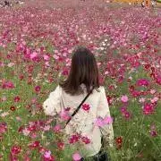 Miyuの画像