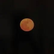 MOOMの画像