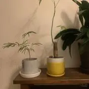 07の画像