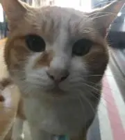 プロフ必須チャオ*\(^o^)/*の画像