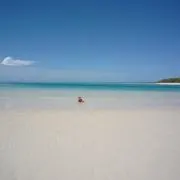 kimiの画像