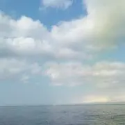 名無しの権兵衛の画像