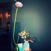 みーの画像