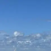 かいな