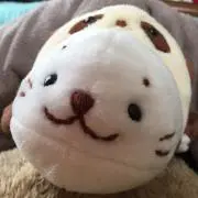 かーぶ