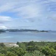 7の画像