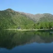 ハイジ