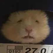 riinの画像