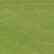 hanaの画像