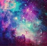 紫の画像