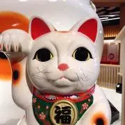 まる