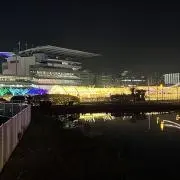 もんての画像
