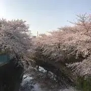 らら
