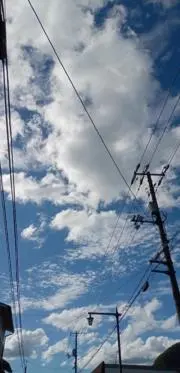 雨垂れの画像