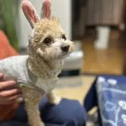 ★momo★プロフ一読してね❤︎の画像