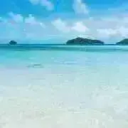 yuの画像