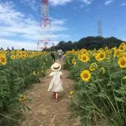 Hoko-maruの画像