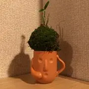うづきはるの画像